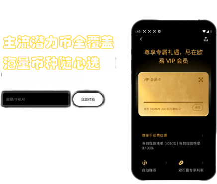 安全审计报告界面